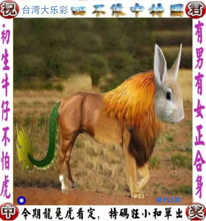First Image