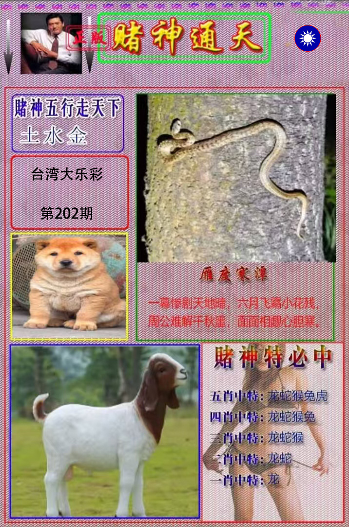 First Image