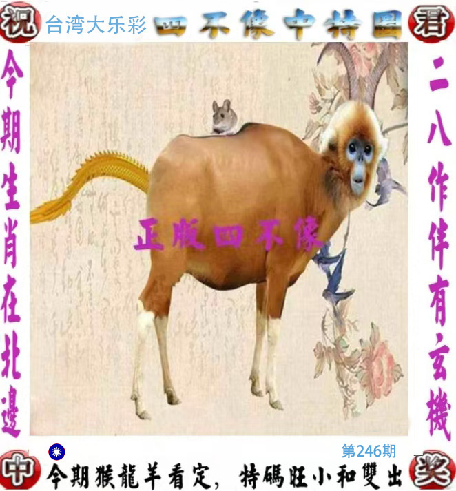 First Image